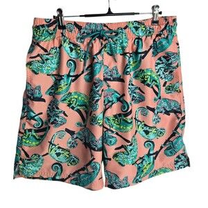 Old Navy Mens Chameleon Swim Trunks 4 Pockets Novelty Printed Shorts Size M